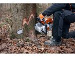 stihl-ms291c-be-motorna-testera-2
